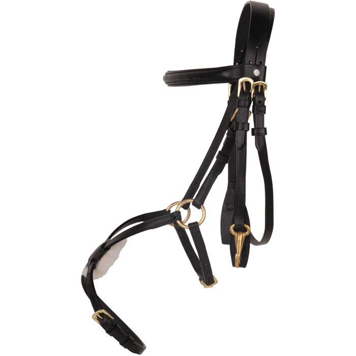 HKM Mexican padded Grackle Bridle