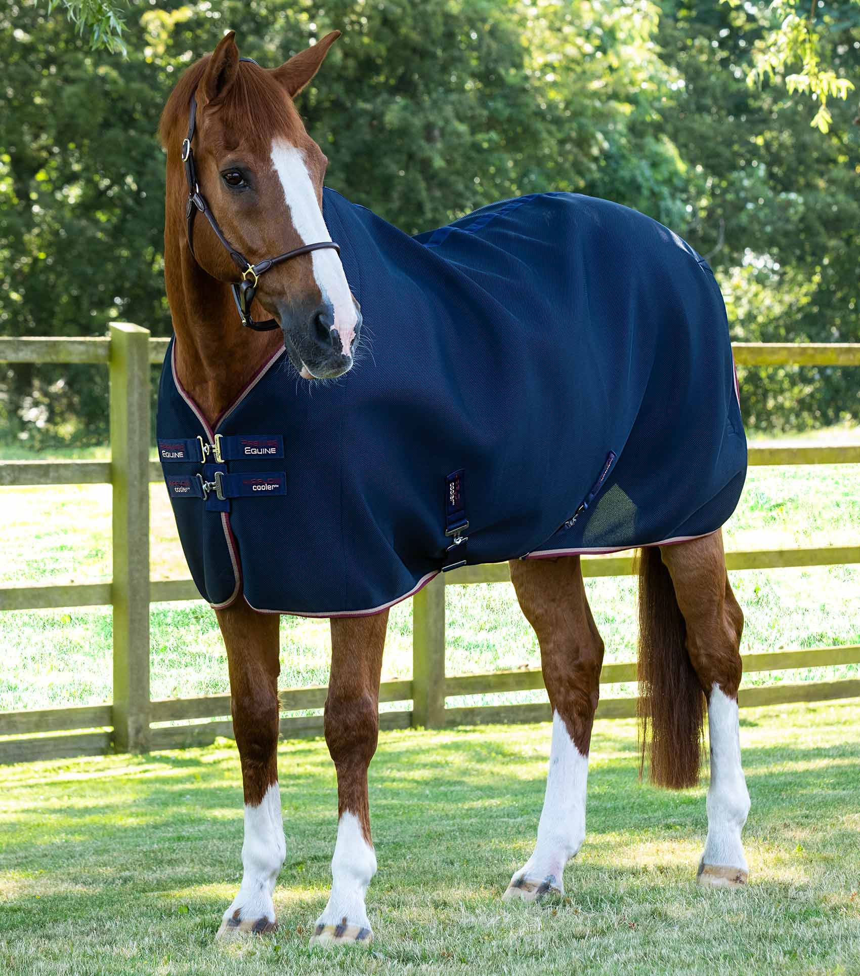 Premier Equine Airflow Horse Cooler Rug