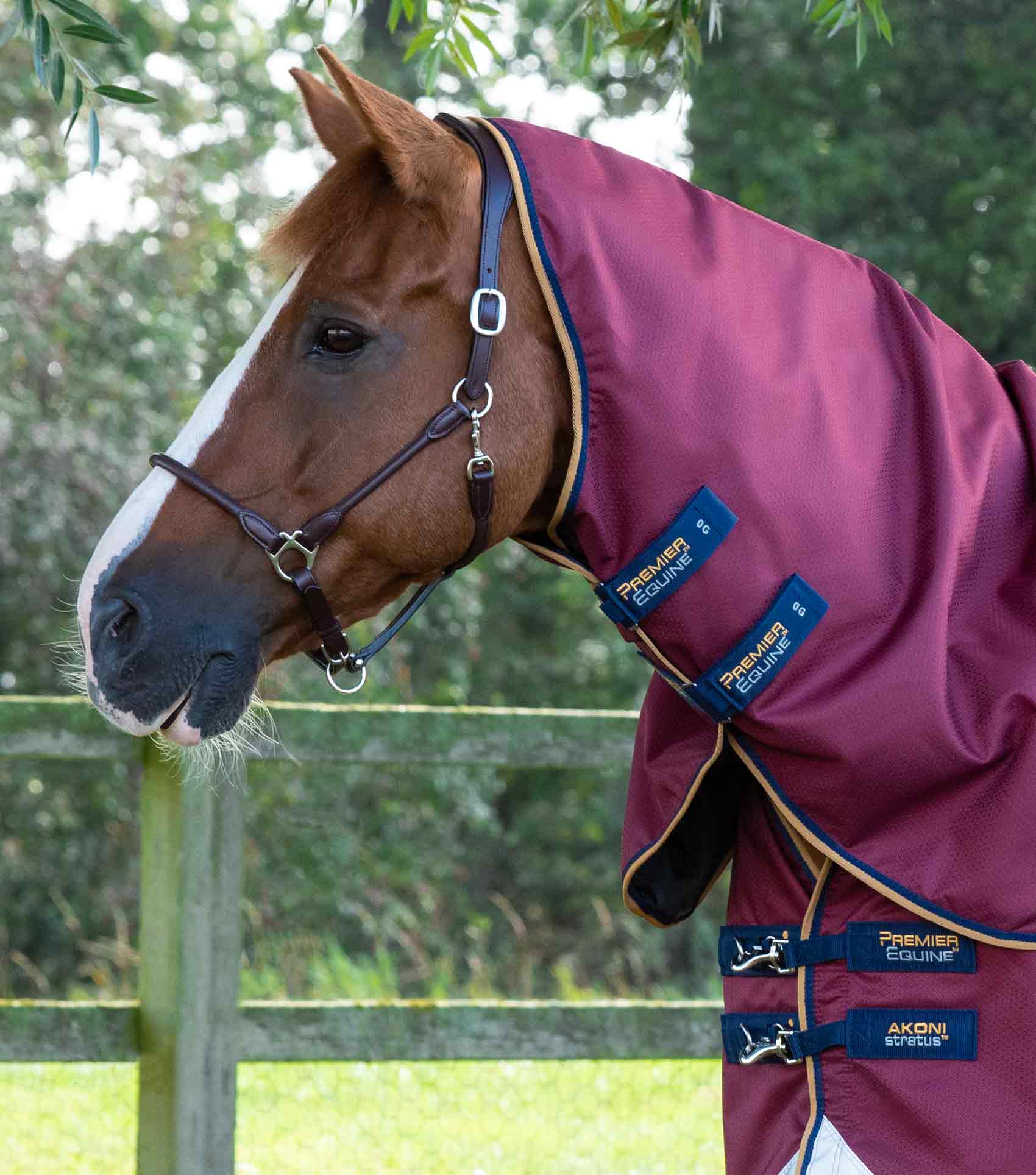 Premier Equine Akoni 0g Turnout Rug with Classic Neck Cover