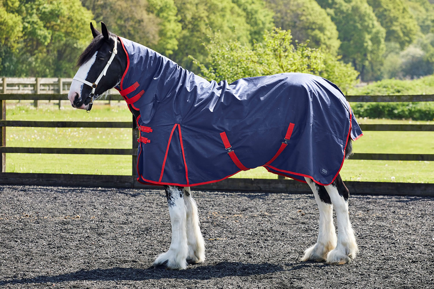 Firefoot 100g Turnout Rug with Fixed Neck