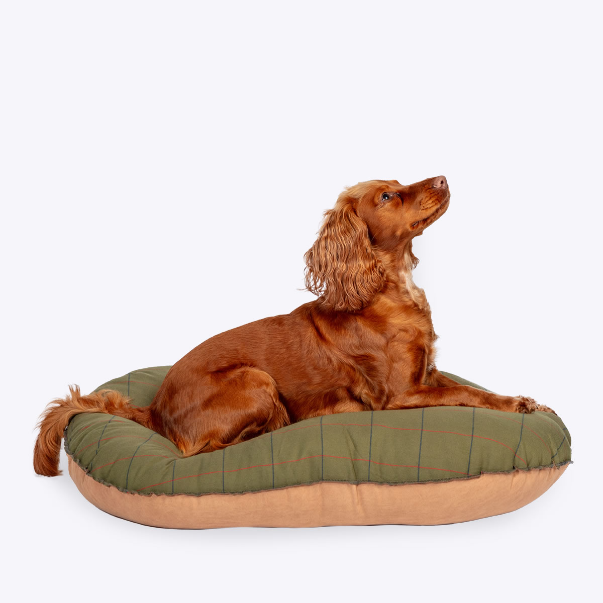 Danish Design Tweed 18'' Quilted Dog Mattress