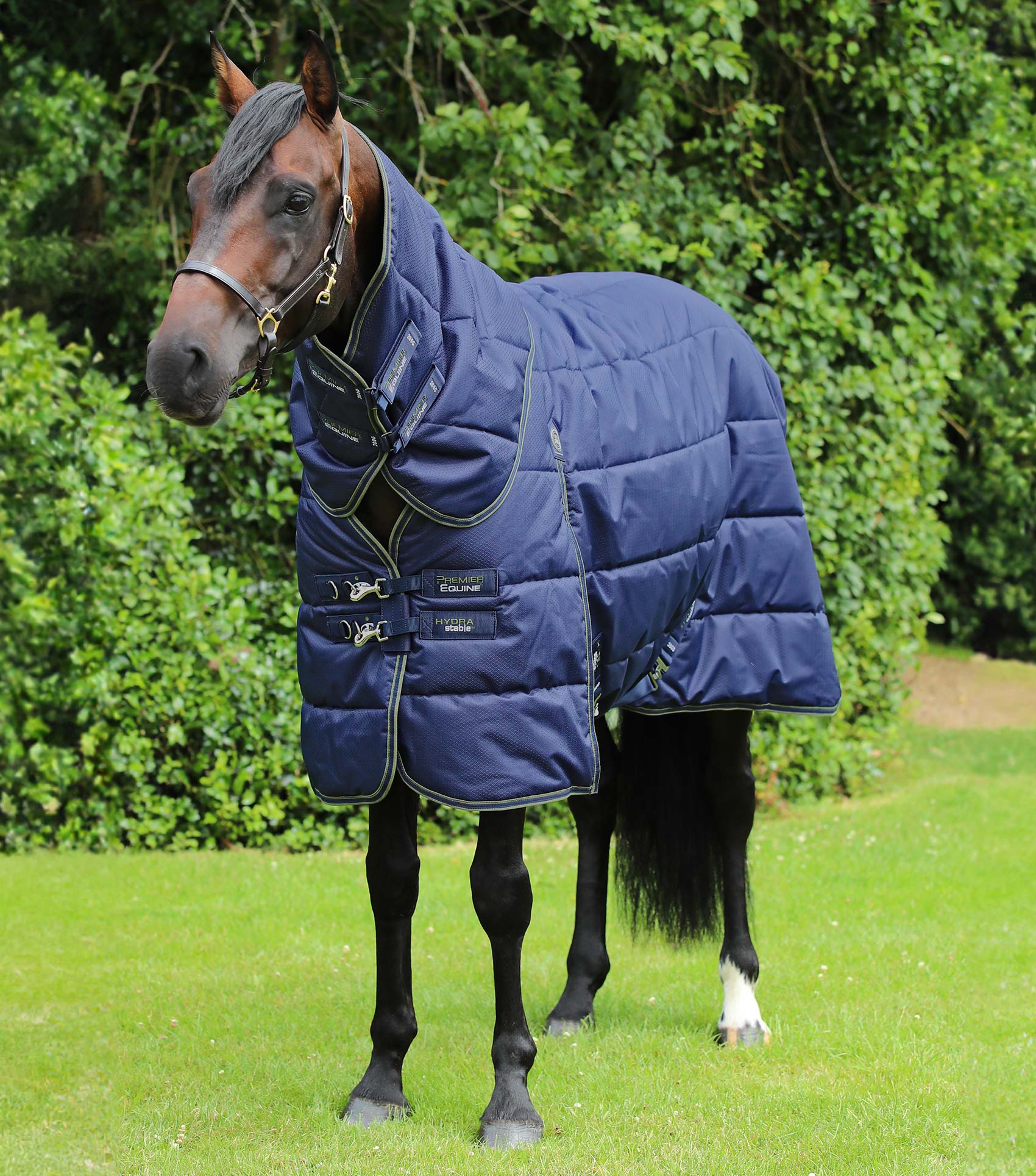 Premier Equine Hydra 350G Stable rug with Neck Cover