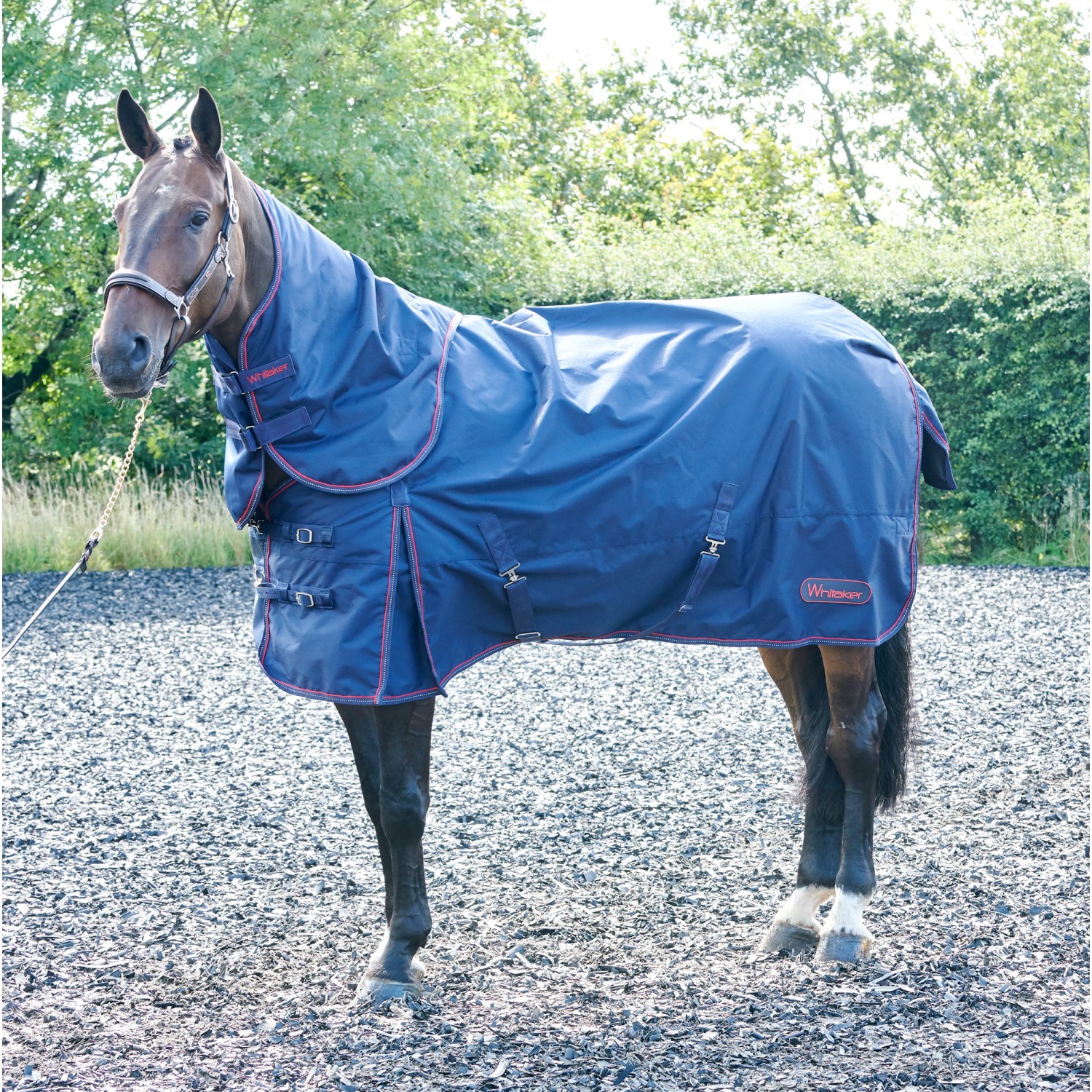 Whitaker Rastrick Turnout Rug Combo 250GM Navy