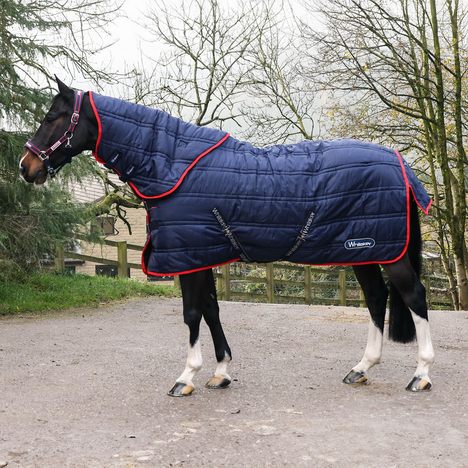 Whitaker Rastrick V2 250G Combo Stable Rug