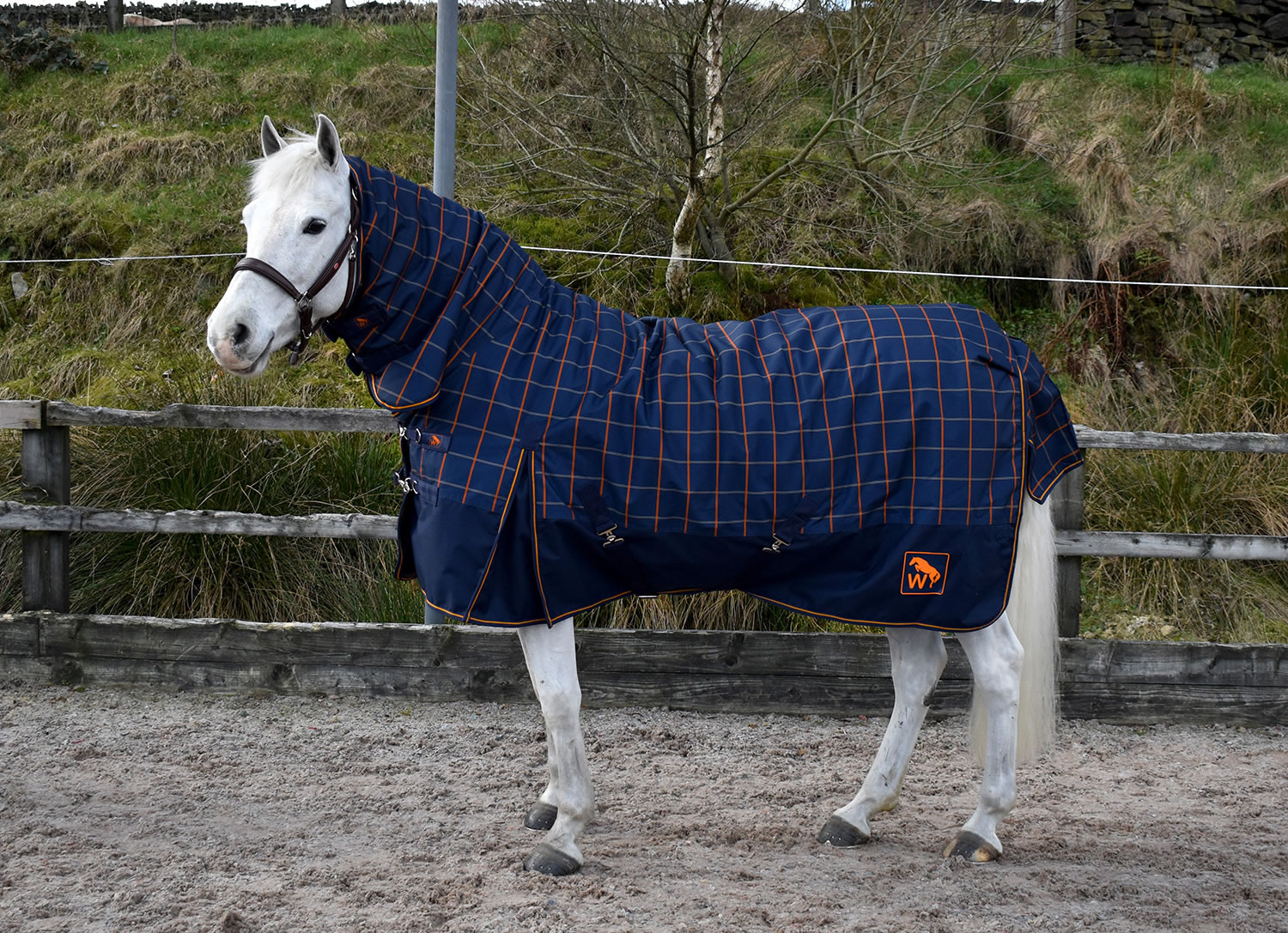 Whitaker Noah 100g Turnout Rug with Fixed Neck