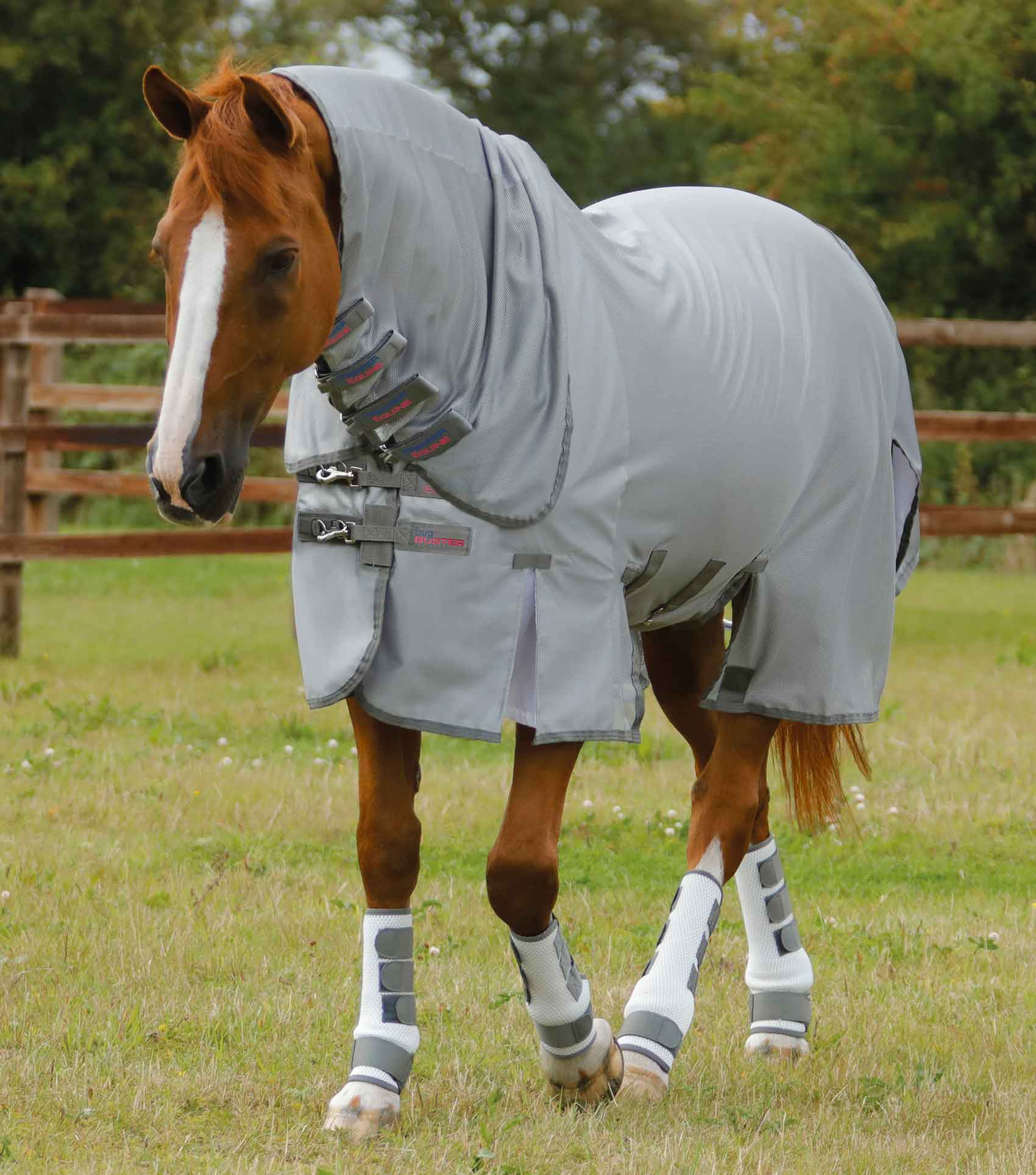 Premier Equine Bug Buster Fly Rug with Belly Flap