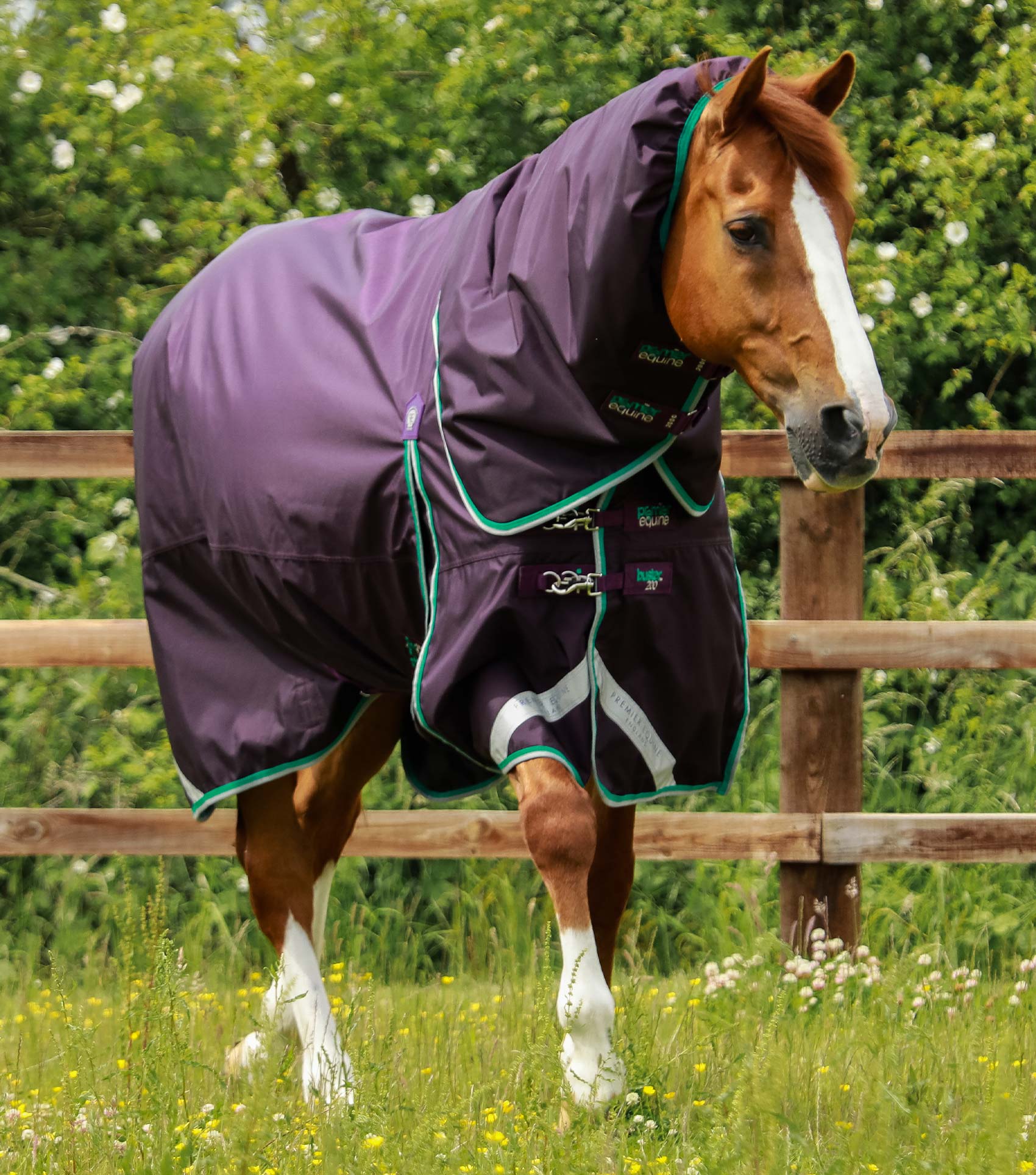 Premier Equine Buster 200g Turnout Rug with Snug-Fit Neck Cover Purple 5ft 3