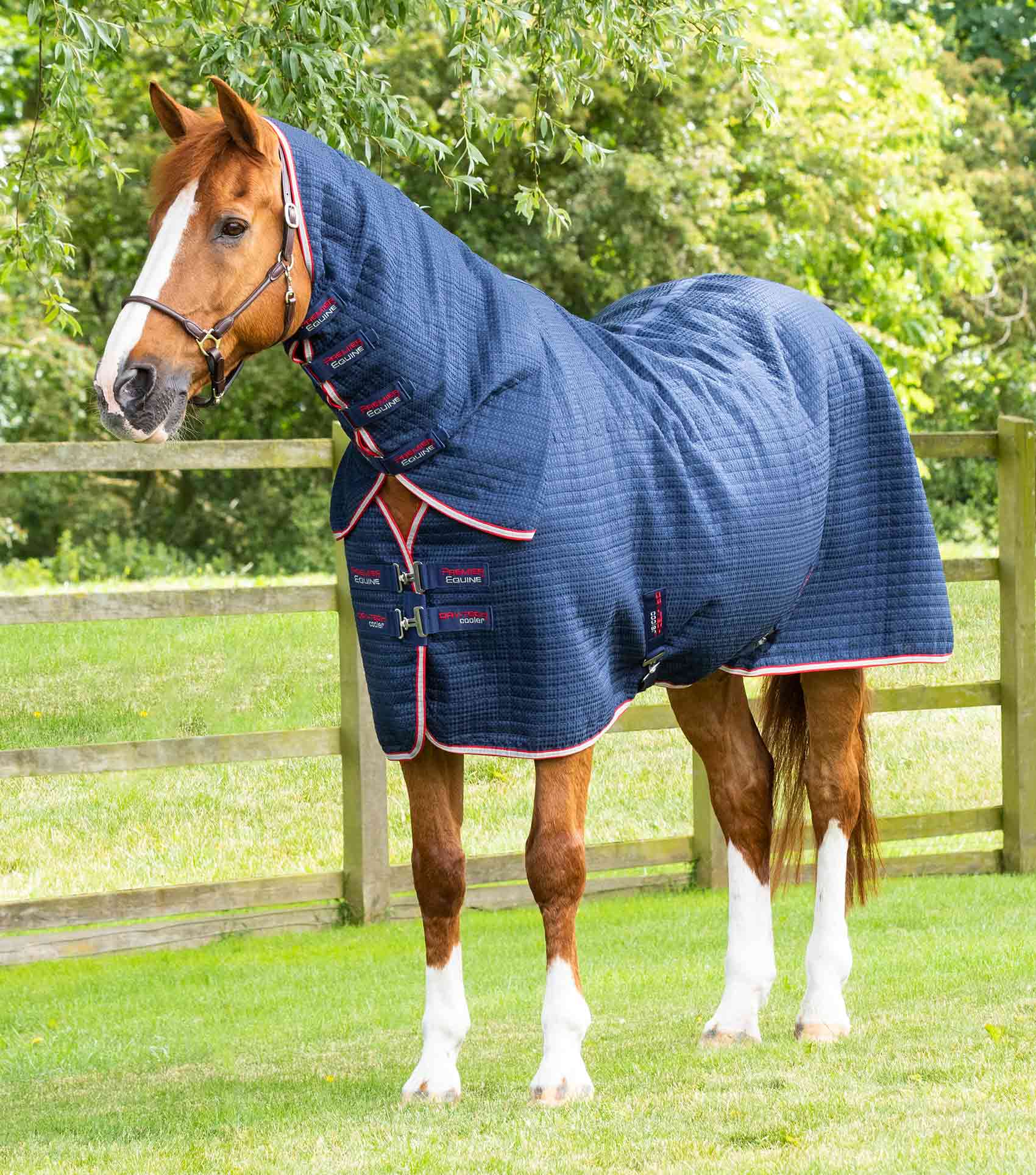 Premier Equine Combo Dry-Tech Horse Cooler Rug