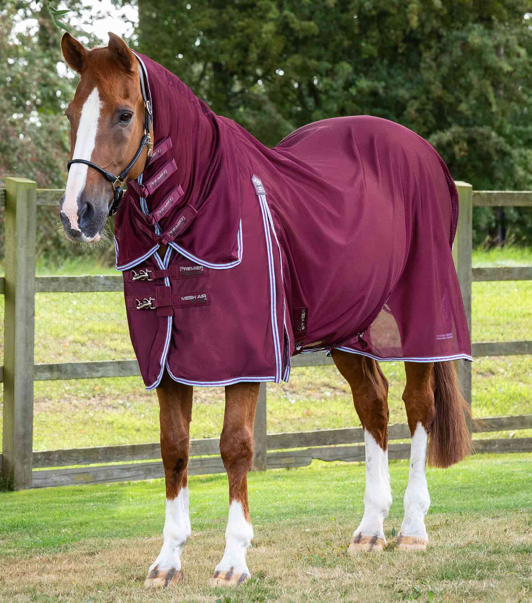 Premier Equine Combo Mesh Air Fly Rug with Surcingles - 6FT 3 IN STOCK