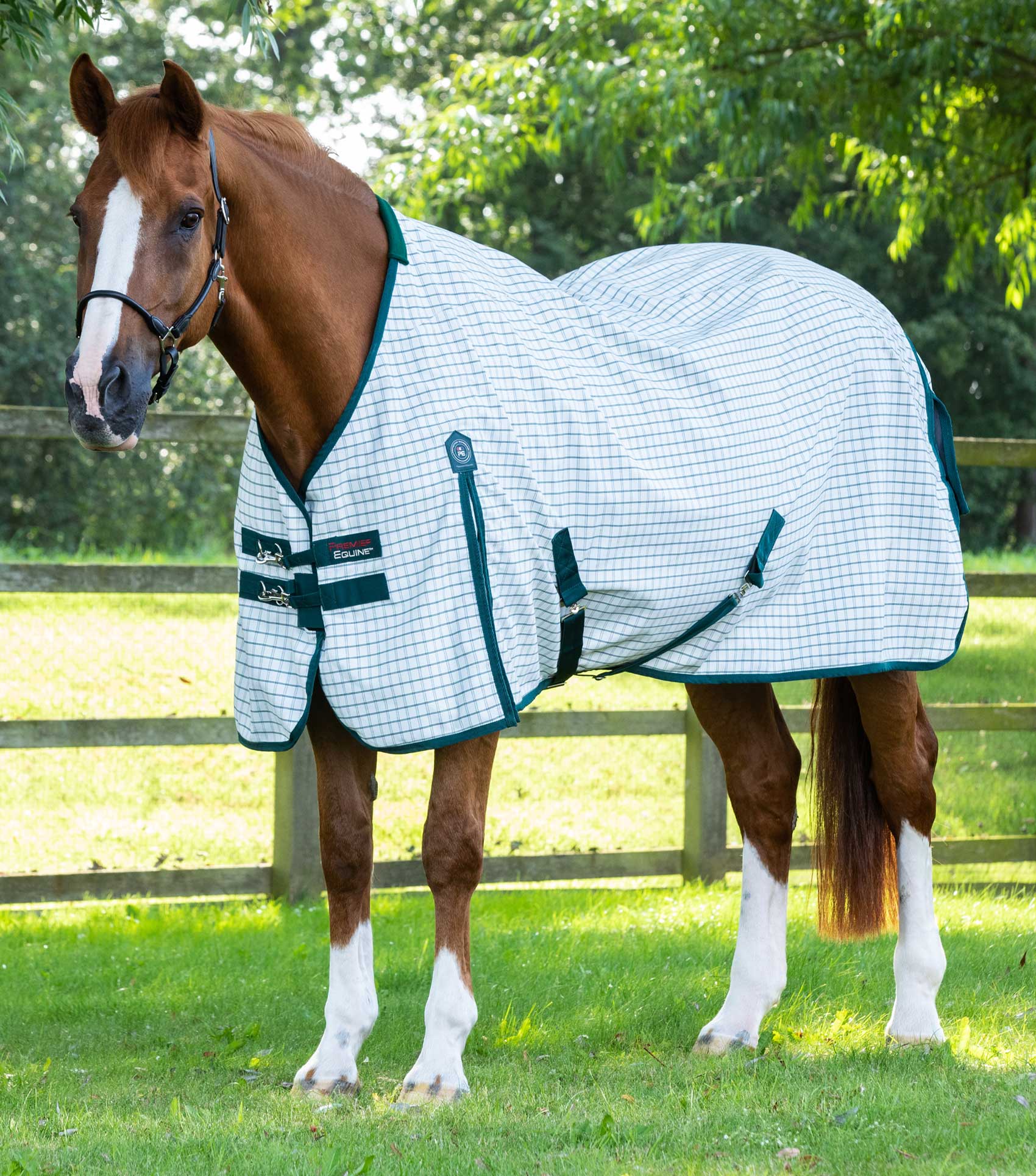 Premier Equine Cotton Sheet 5ft 9 Green