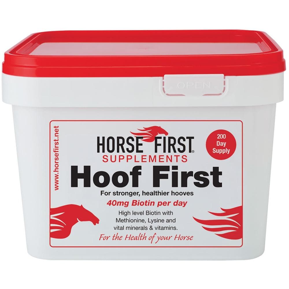 Horse First Hoof First