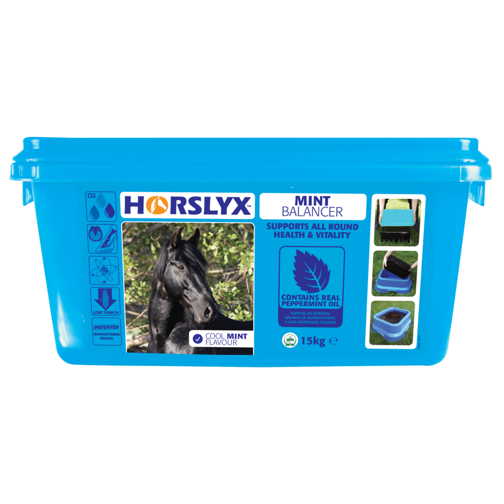 Horslyx Mint Balancer