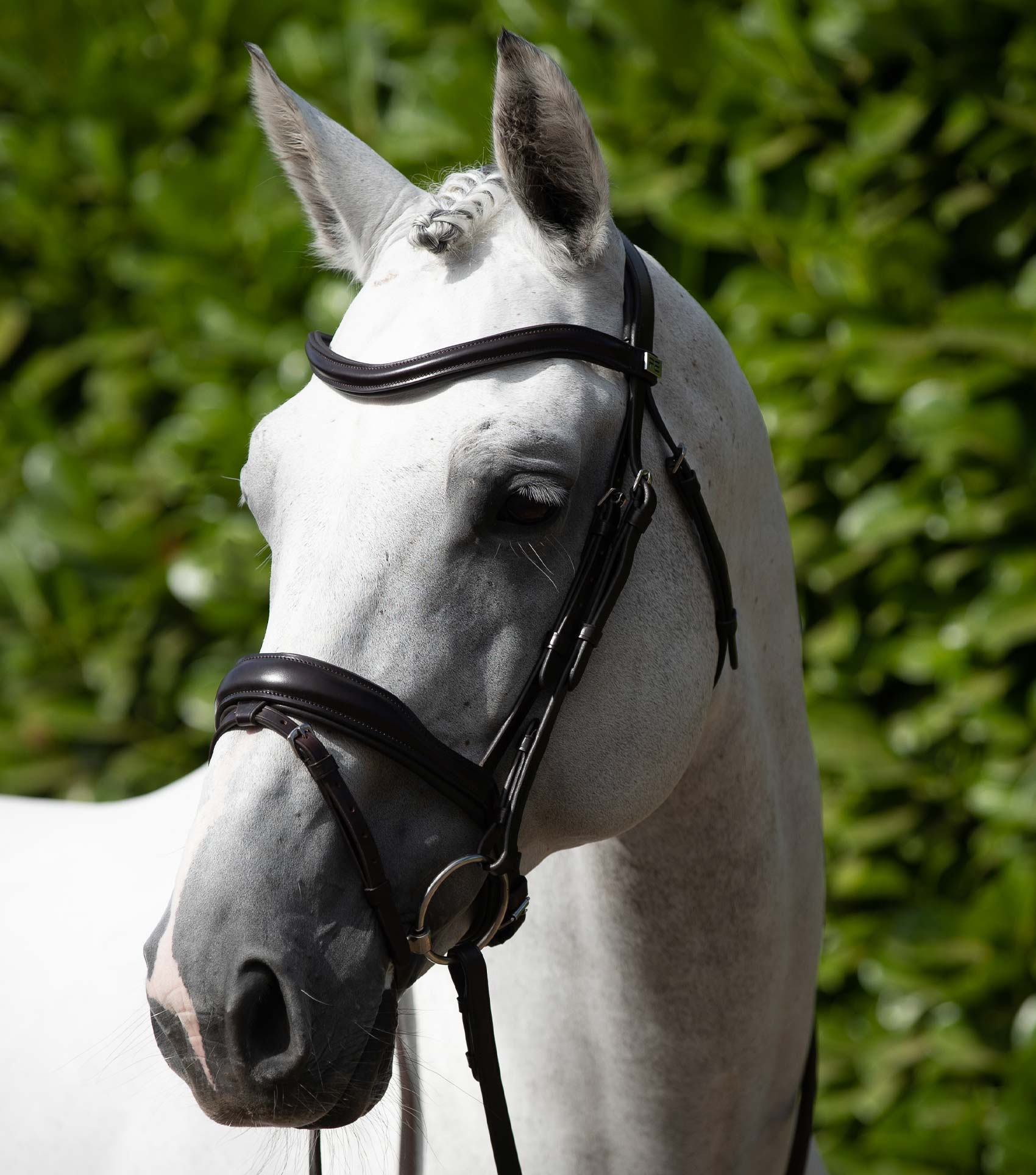 Premier Equine Rizzo Anatomic Snaffle Bridle with Flash Black Full