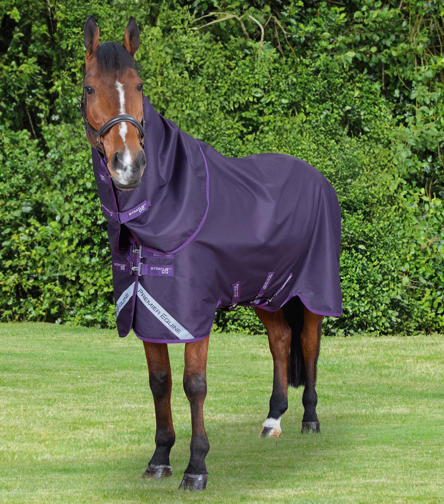 Premier Equine Stratus 600 Series 0G Turnout with Removable Neck