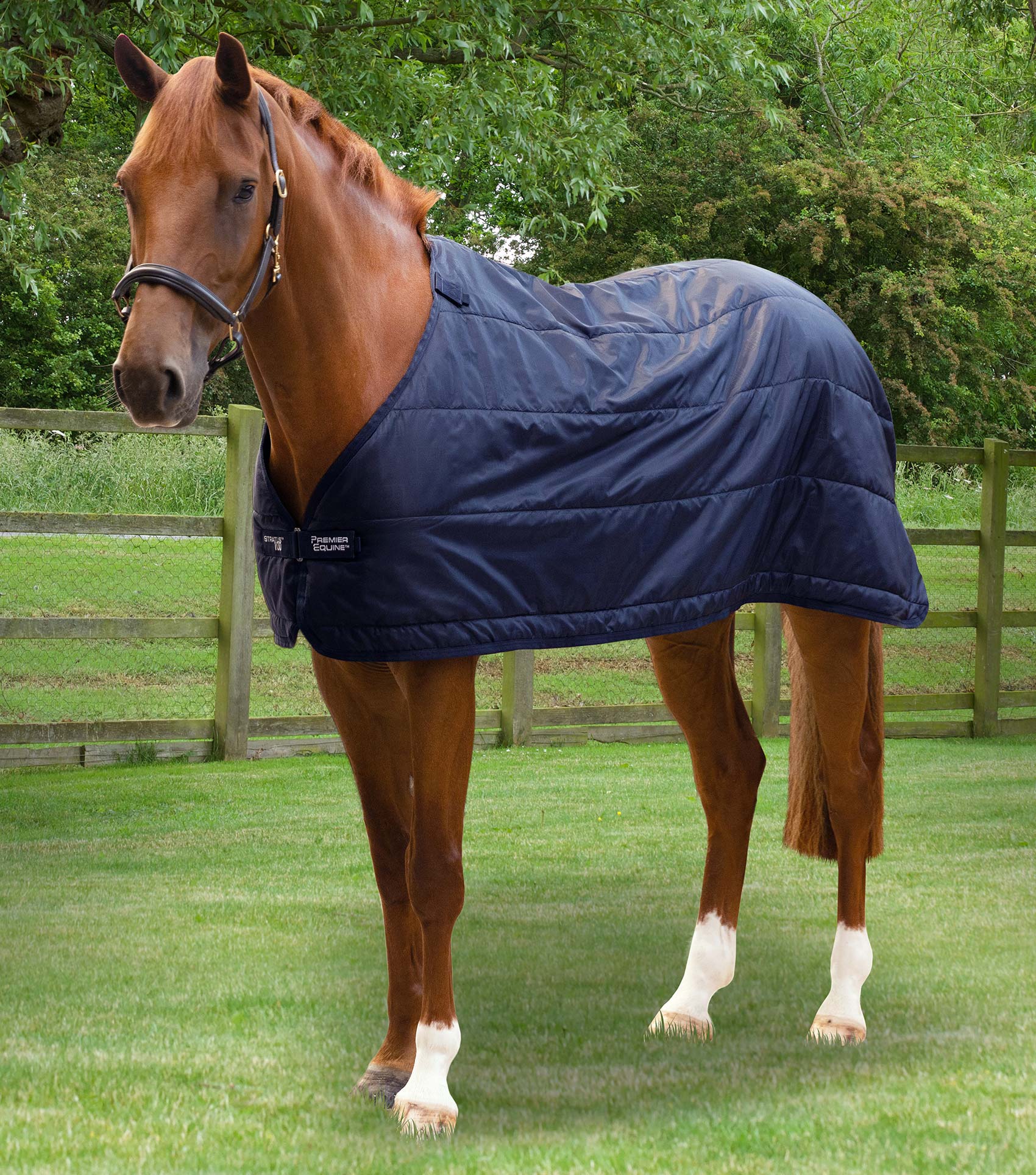 Premier Equine Stratus 100g Rug Liner