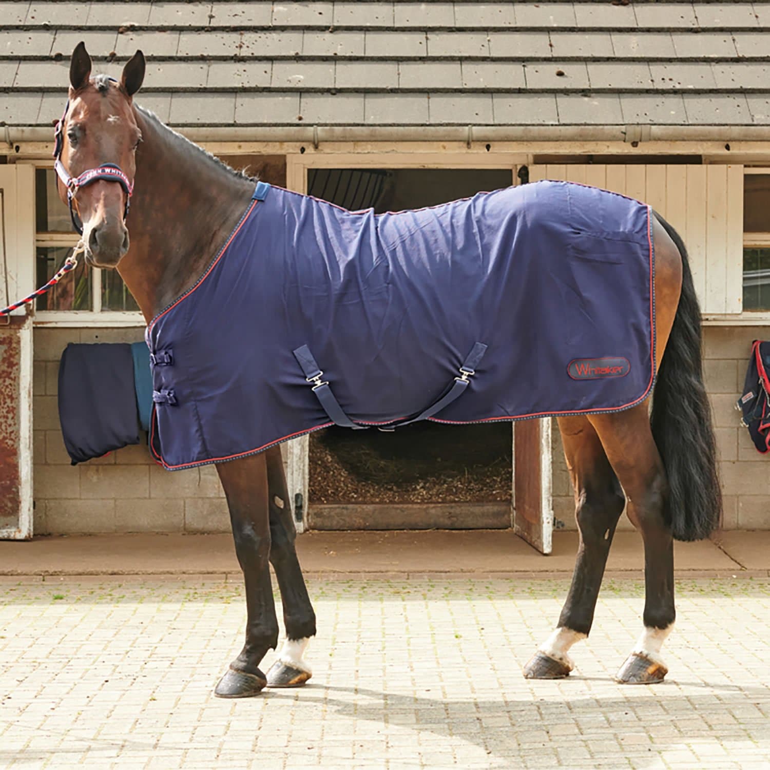 Whitaker Rastrick Navy Summer Sheet 6FT 9