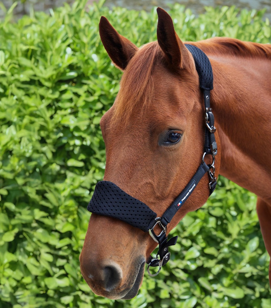 Premier Equine Necto 3D mesh Head Collar with Lead Rope