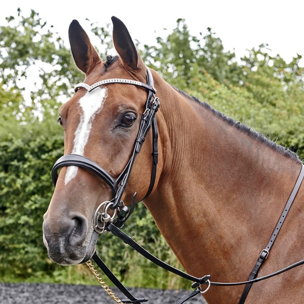 Whitaker Lynton Snaffle Bridle With Spare Browband