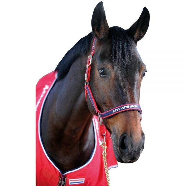 Whitaker Padded Fleece Headcollar