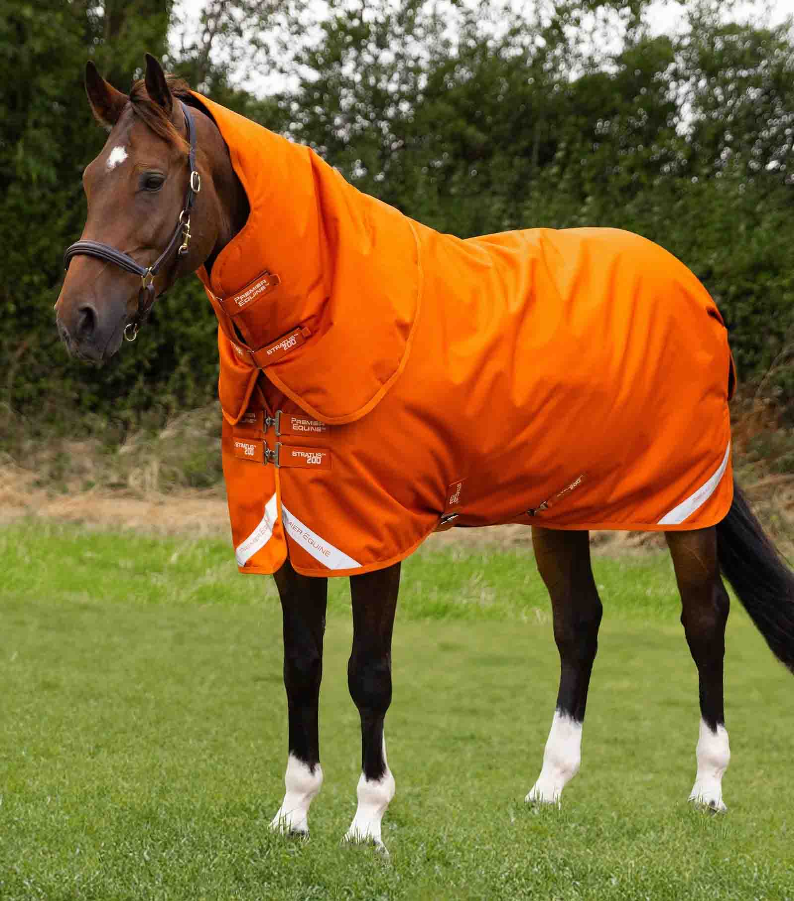 Horsewear